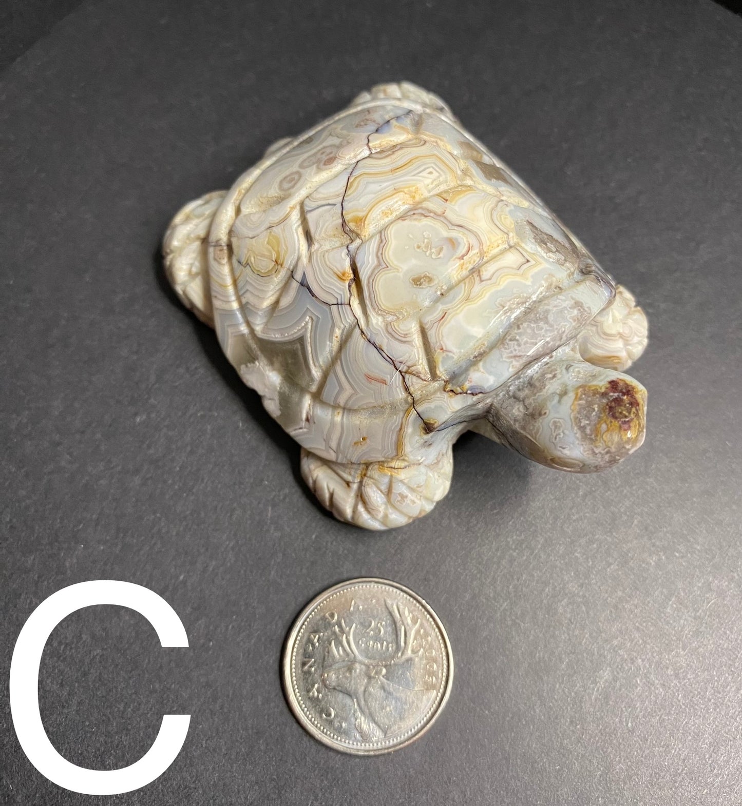 Crazy Lace Agate Turtle Carving - Nymphs Nook