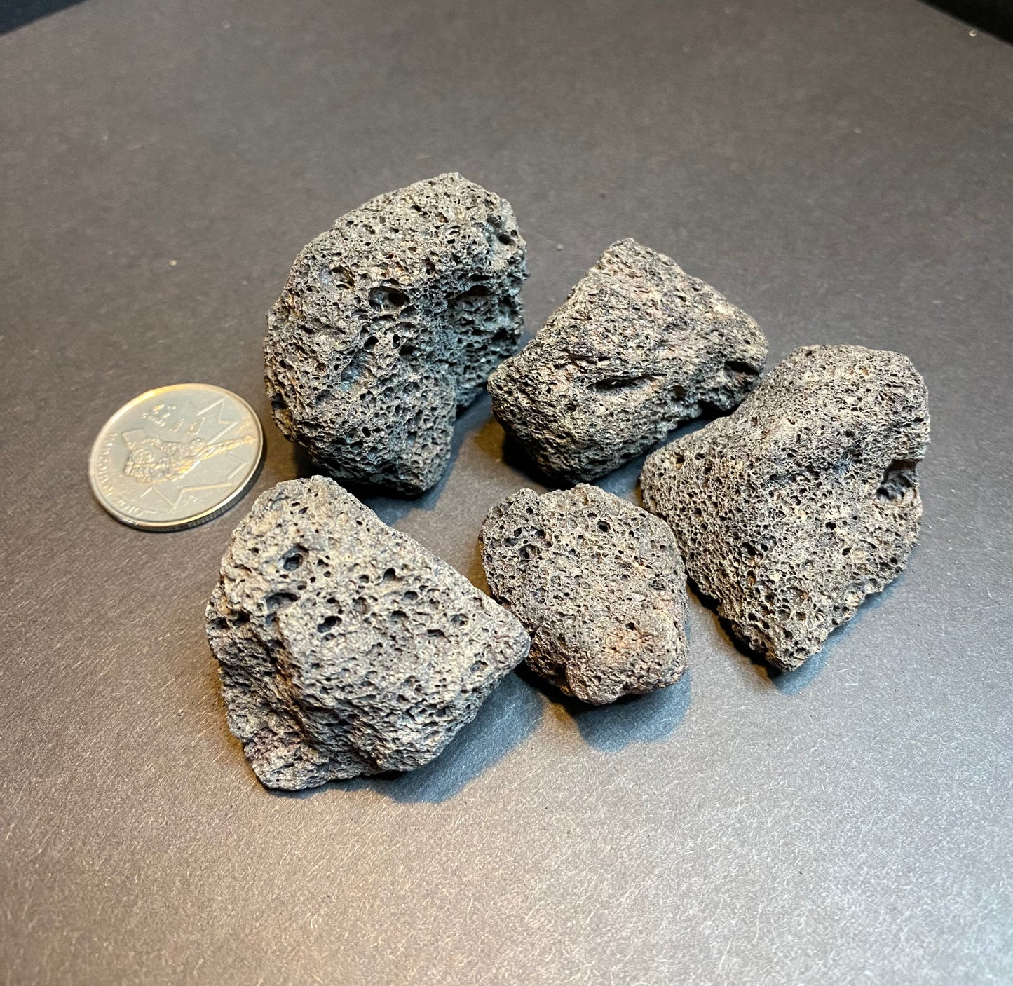Lava Stone; Rough Chunks - Nymphs Nook