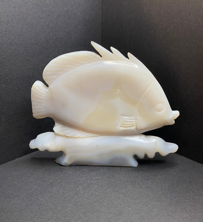 Agate Druzy Blue Lace Fish Carving - Nymphs Nook