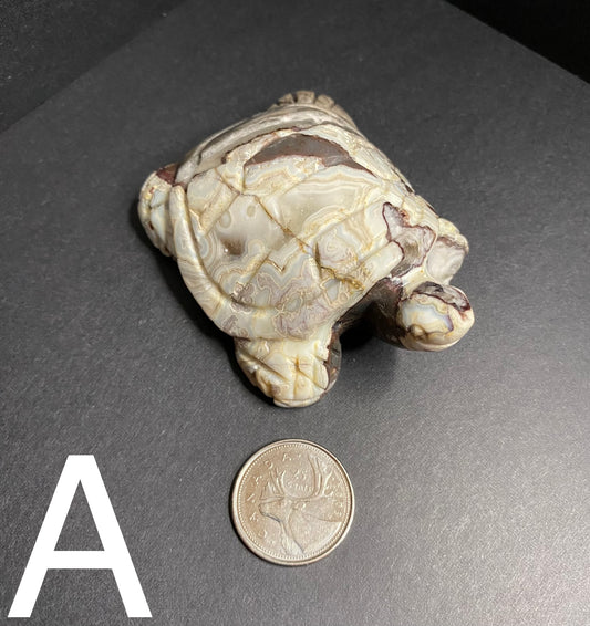 Crazy Lace Agate Turtle Carving