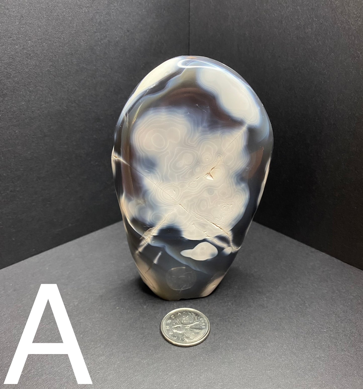 Orca Agate Standing Freeform - Nymphs Nook