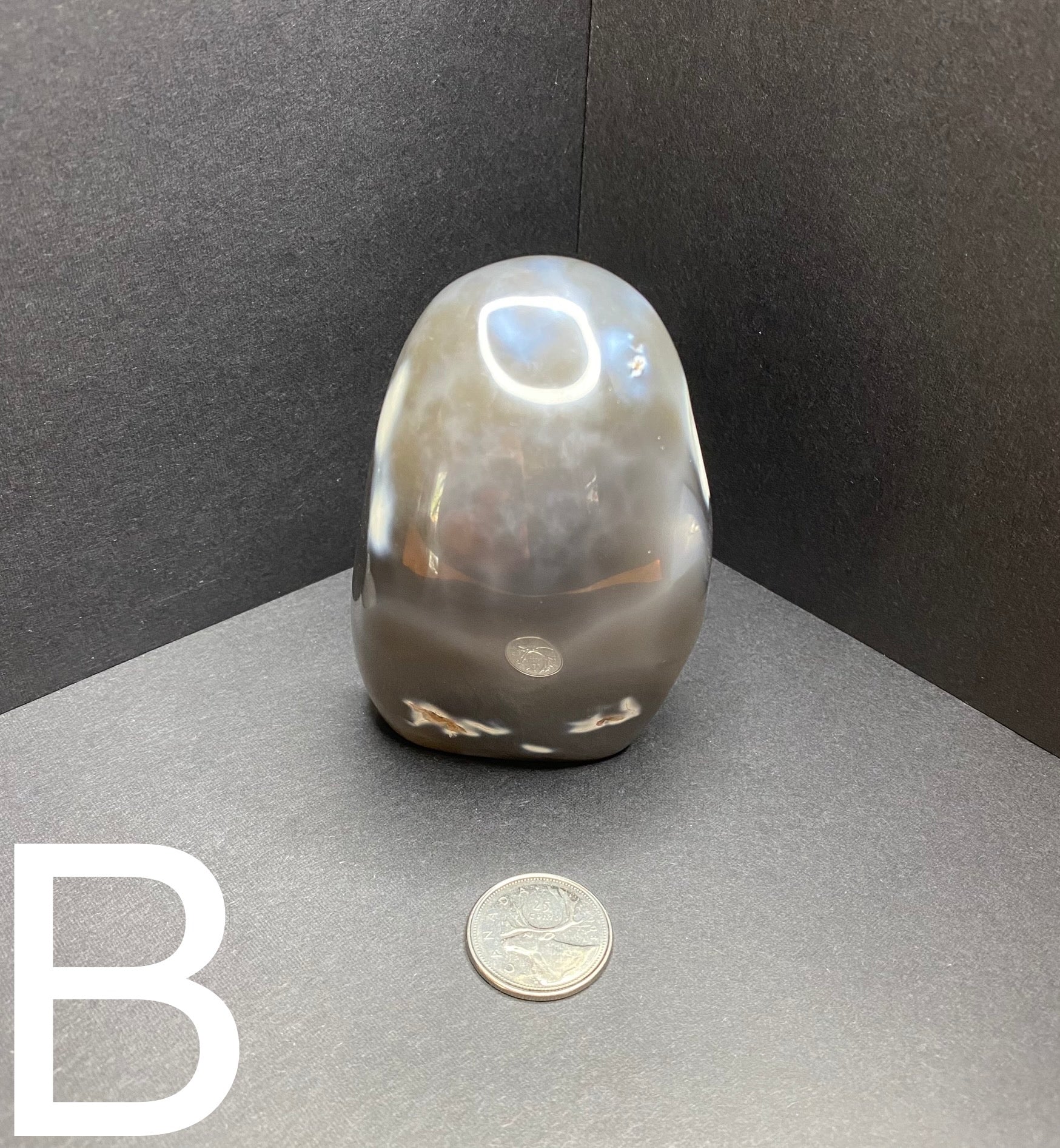 Orca Agate Standing Freeform - Nymphs Nook