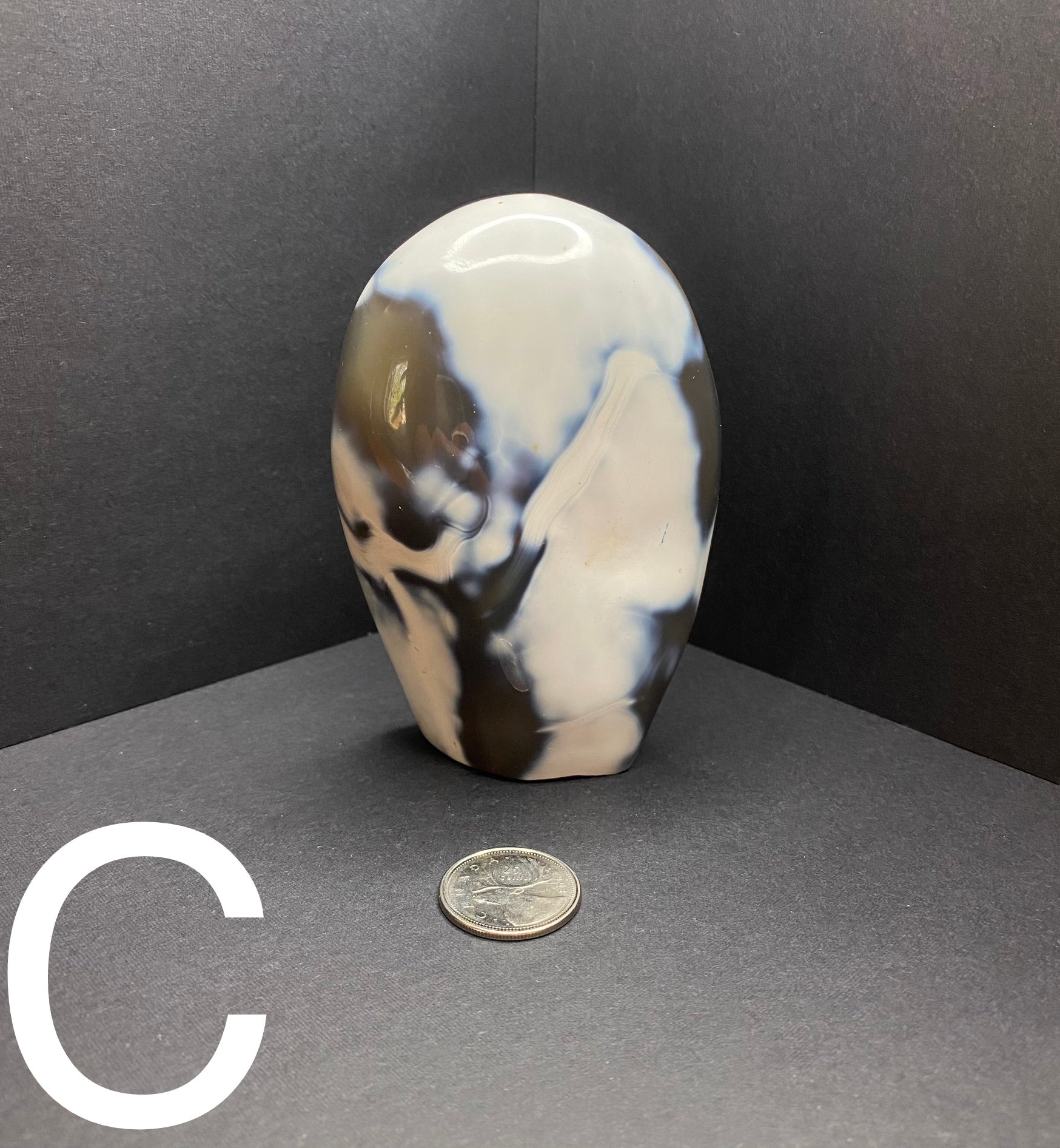 Orca Agate Standing Freeform - Nymphs Nook