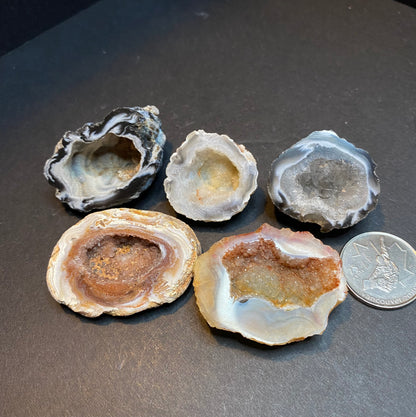 Polished Mini Geode Halves - Nymphs Nook