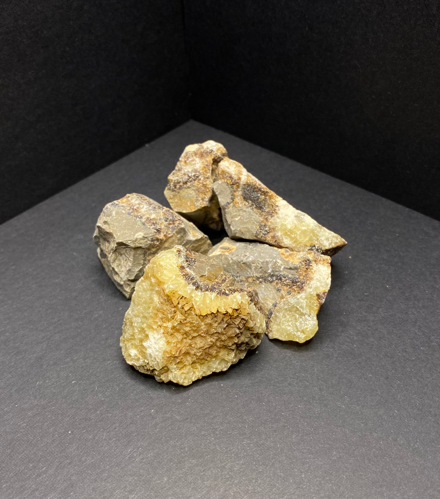 Septarian Rough Chunks, Medium - Nymphs Nook