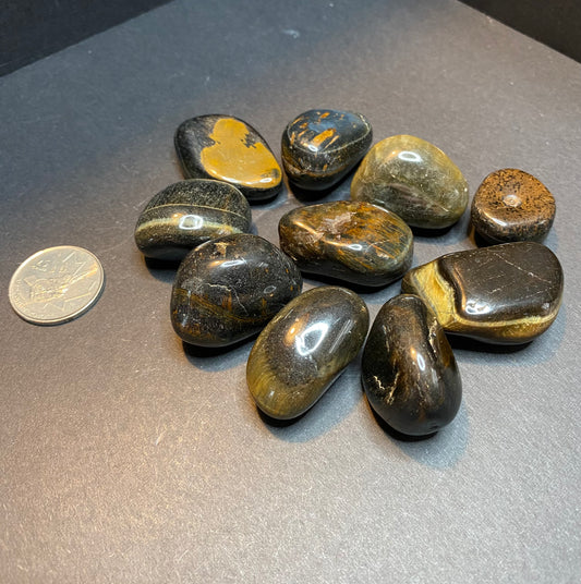 Tiger Eye Tumbled Stones - Nymphs Nook
